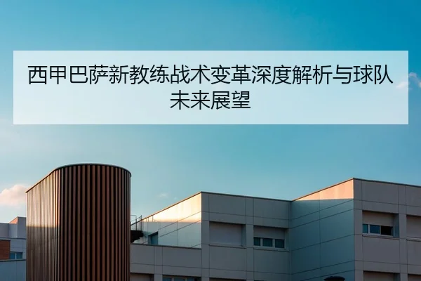 西甲巴萨新教练战术变革深度解析与球队未来展望